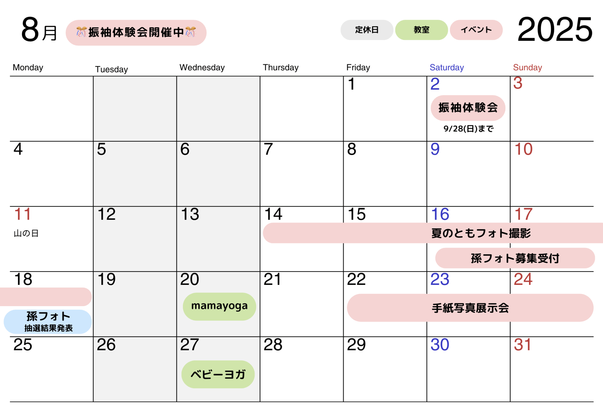 2025年8月ニュースレター🍉 8