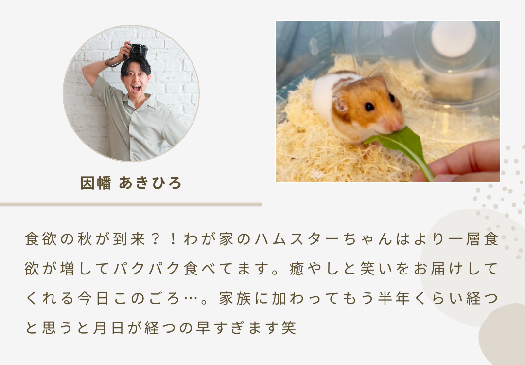 2025年12月ニュースレター 1