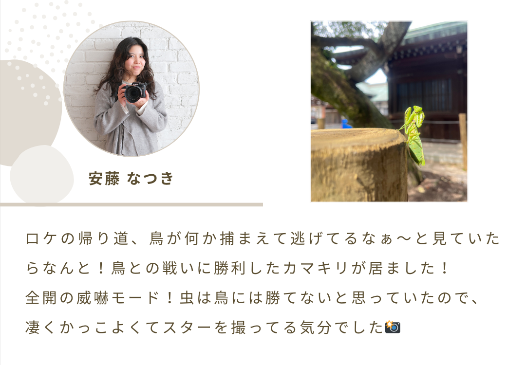 2025年12月ニュースレター 6