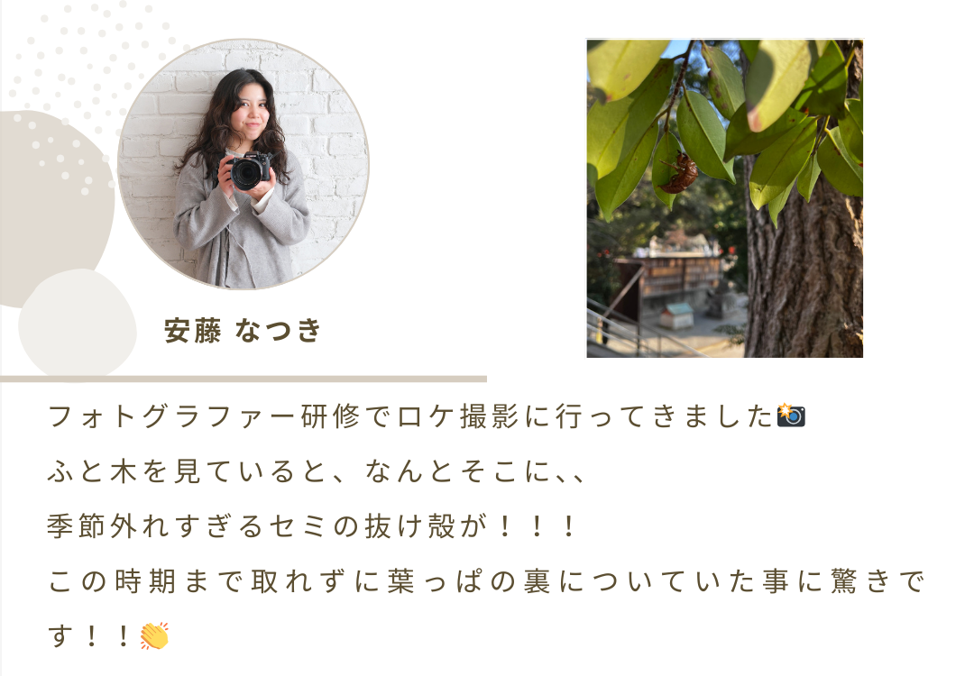 2026年3月号 ニュースレター 6