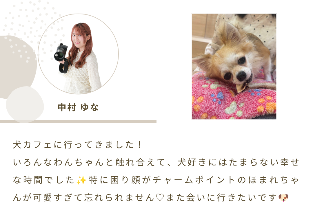 2026年8月ニュースレター 3